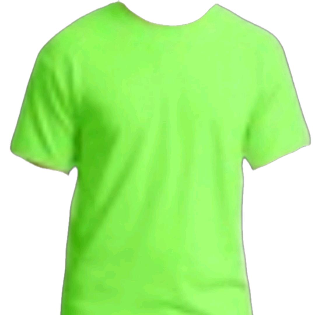 Custom T-Shirts, Personalized Shirts with Your Text, Logo or Photo, Bulk Custom Tees,