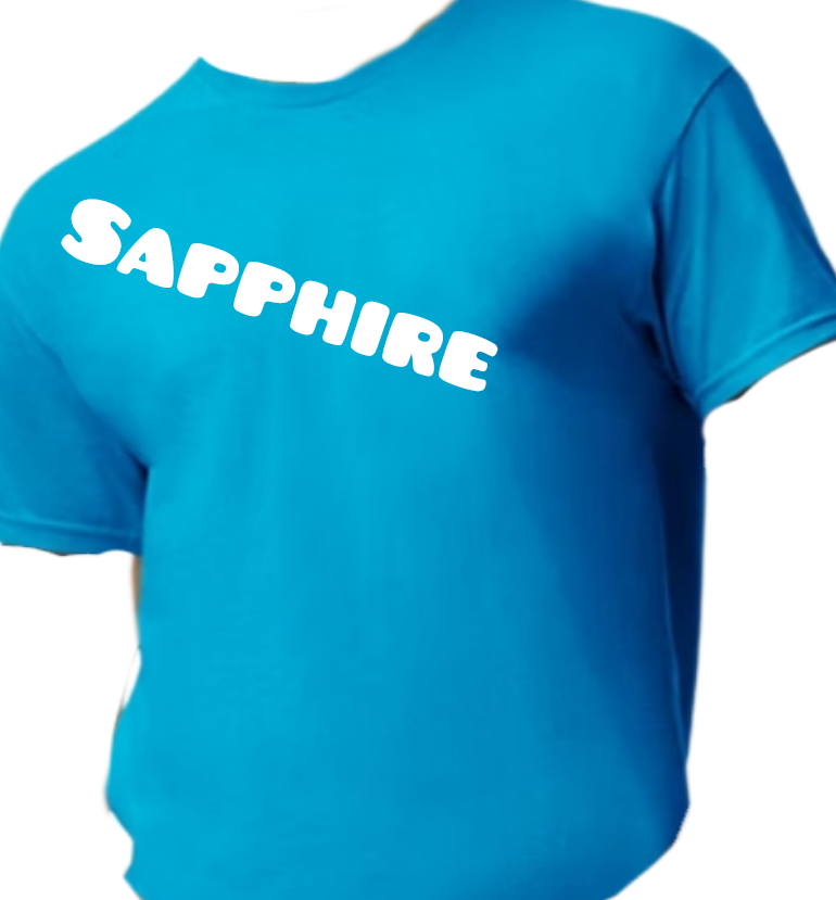 Custom T-Shirts, Personalized Shirts with Your Text, Logo or Photo, Bulk Custom Tees,