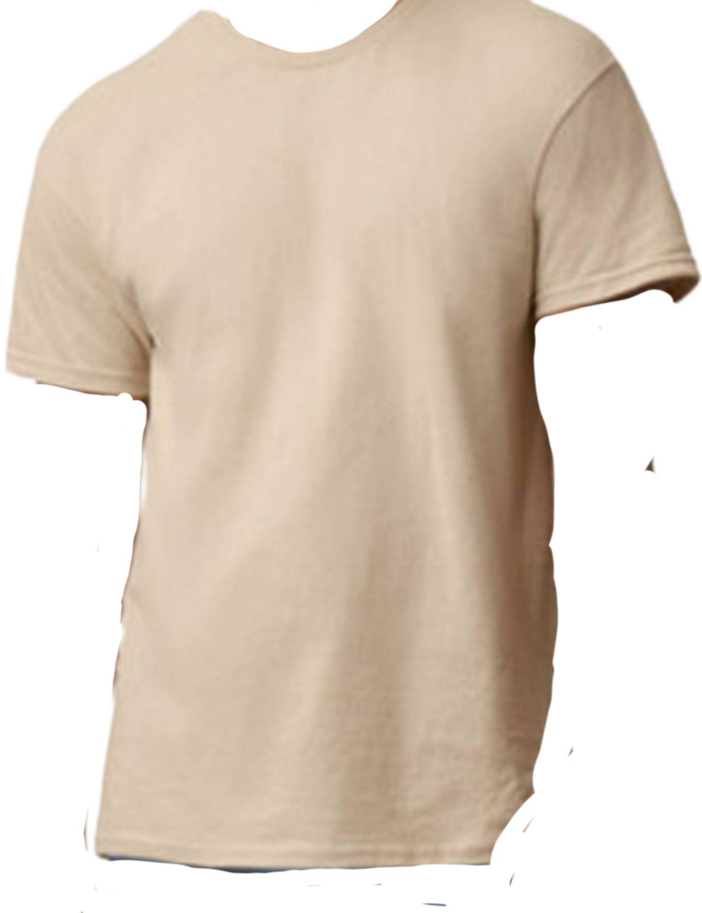 Custom T-Shirts, Personalized Shirts with Your Text, Logo or Photo, Bulk Custom Tees,