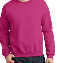 Custom Crewnecks, Personalized Sweatshirt with Your Text, Logo or Our DTF prints