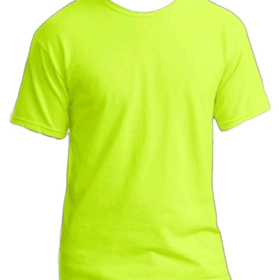 Custom T-Shirts, Personalized Shirts with Your Text, Logo or Photo, Bulk Custom Tees,