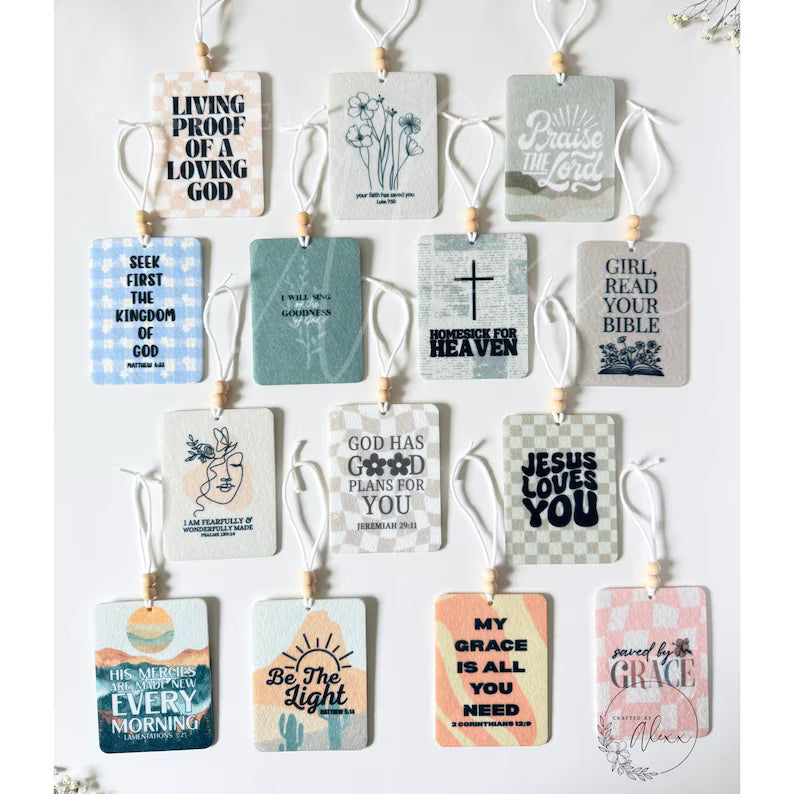 Mystery Car Freshies | Wholesale Freshies | Bundle Car Freshies | Bull Car Freshie | Boutique Car Freshies | Western Freshies | Guy Freshies