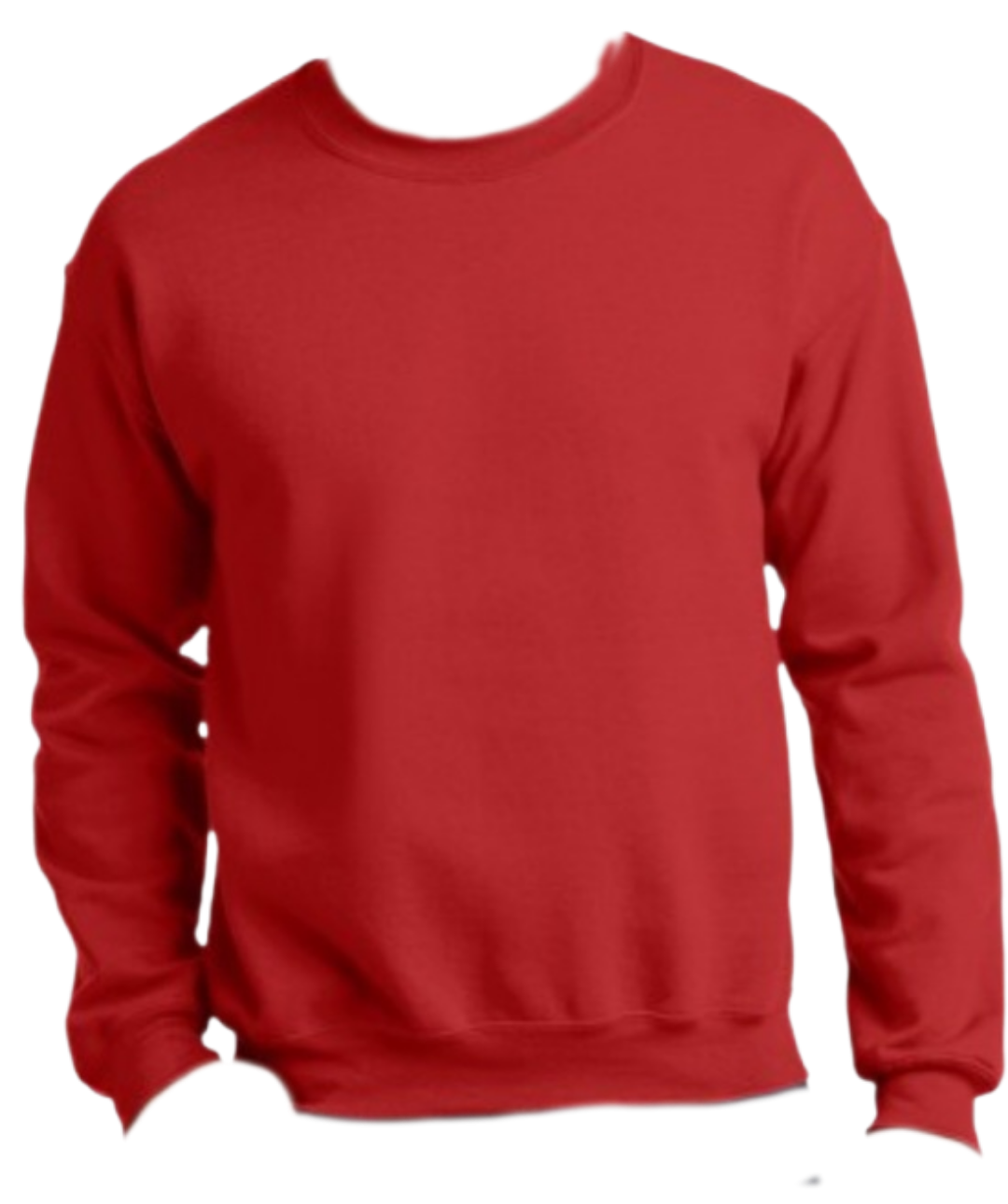 Custom Crewnecks, Personalized Sweatshirt with Your Text, Logo or Our DTF prints