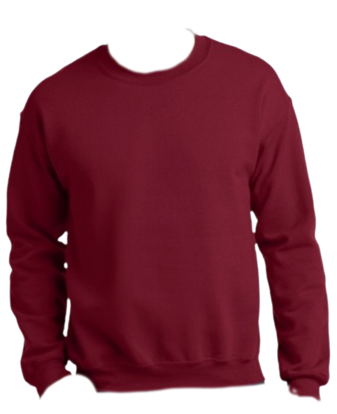 Custom Crewnecks, Personalized Sweatshirt with Your Text, Logo or Our DTF prints