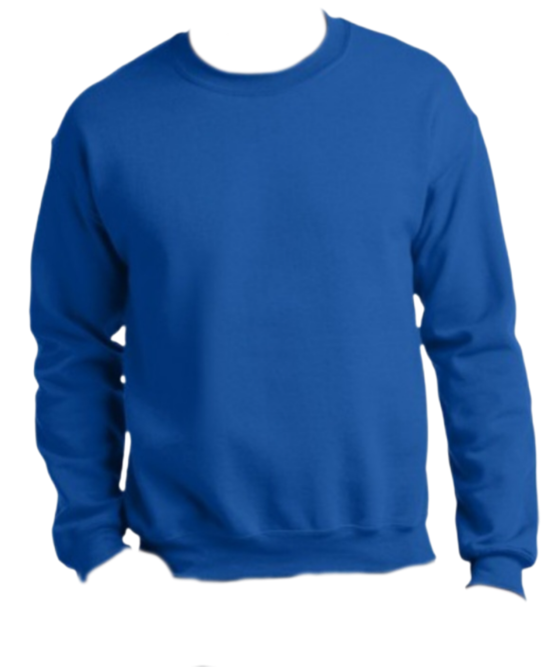 Custom Crewnecks, Personalized Sweatshirt with Your Text, Logo or Our DTF prints