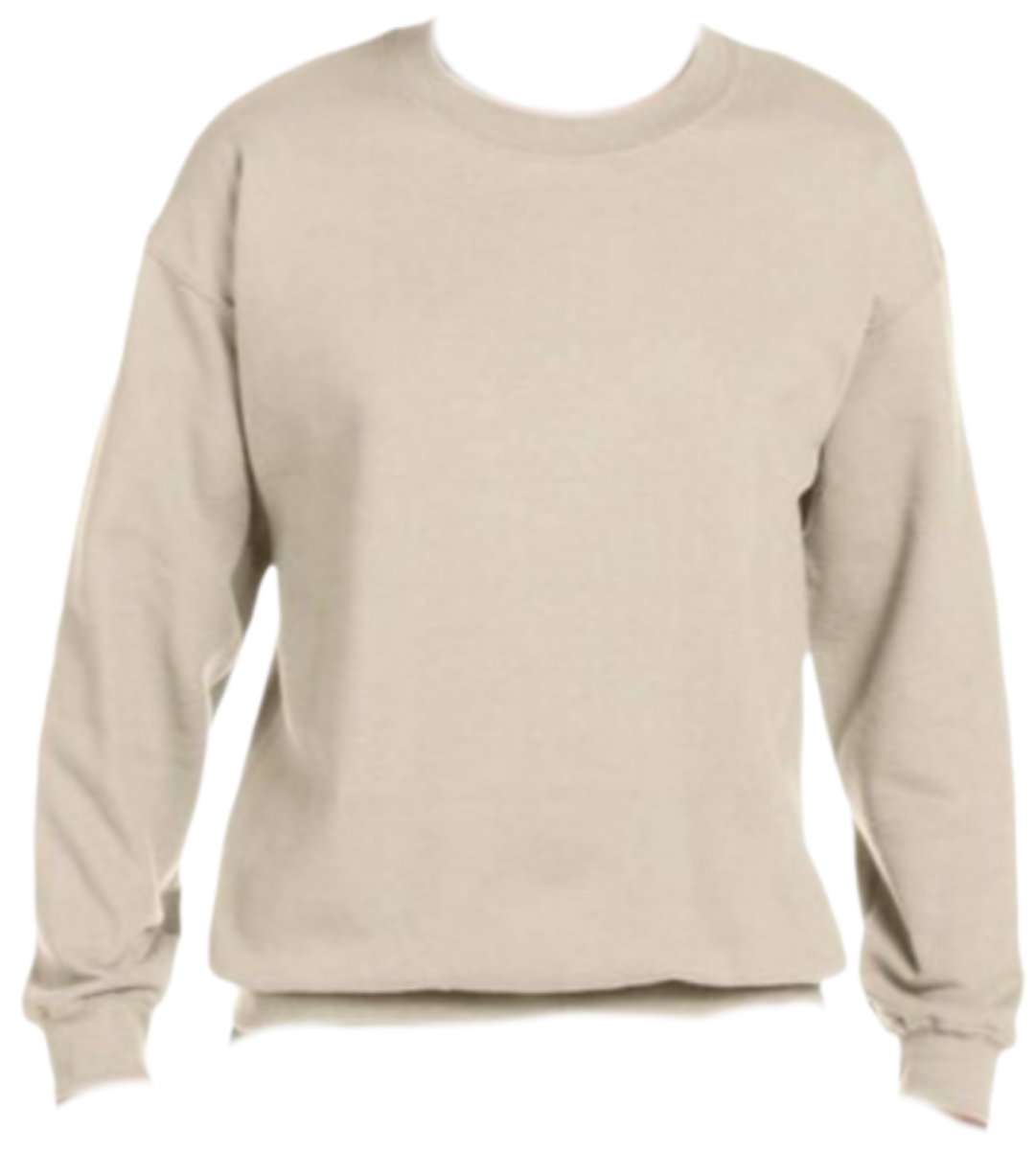 Custom Crewnecks, Personalized Sweatshirt with Your Text, Logo or Our DTF prints